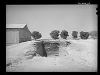 Trench silo for cattle feed at the Casa Grande Valley Farms. Pinal County, Arizona by Russell Lee