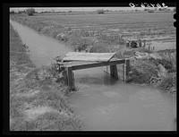 Irrigation ditch. Solomonsville, Arizona by Russell Lee