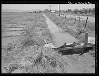 Irrigation ditch. Solomonsville, Graham County, Arizona by Russell Lee