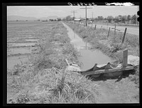 [Untitled photo, possibly related to: Irrigation ditch. Solomonsville, Graham County, Arizona] by Russell Lee