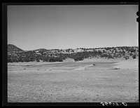 Plowing farmland. Pie Town, New Mexico by Russell Lee