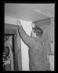 George Hutton, Jr., papering the kitchen for his mother. Pie Town, New Mexico by Russell Lee