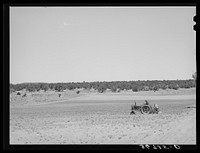 Planting beans with a tractor. Pie Town, New Mexico by Russell Lee