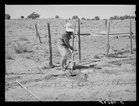 Mrs. Hutton irrigating her garden. Pie Town, New Mexico by Russell Lee