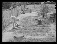[Untitled photo, possibly related to: The Whinery children work in the flowerbed by the side of their house. Pie Town, New Mexico] by Russell Lee