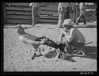 Cowboy testing length of stirrups before bronc busting. Quemado, New Mexico by Russell Lee