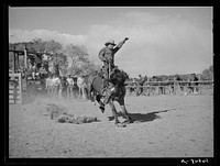 Quemado, New Mexico. Bronc busting at the rodeo by Russell Lee