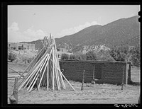 Poles used for vigas (roof construction) and adobe house under construction. Amalia, New Mexico by Russell Lee