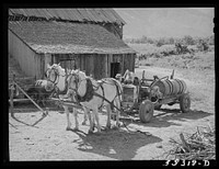Filling tank of converted automobile which supplies power for FSA (Farm Security Administration) cooperative orchard sprayer. Cache County, Utah by Russell Lee
