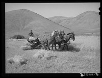FSA (Farm Security Administration) cooperative binder in action. Mantua, Utah by Russell Lee