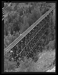 Trestle of narrow gauge railroad near Ophir, Colorado by Russell Lee