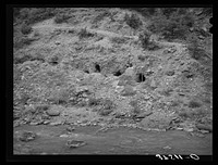 Tunnels dug into the sides of the banks of the San Miquel River in search for gold. San Miquel County, Colorado by Russell Lee