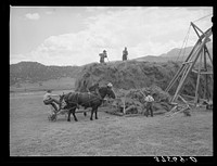 Pushing load of hay onto hay stacker. Ouray County, Colorado by Russell Lee