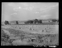 [Untitled photo, possibly related to: Irrigation ditch leading to farm, Montrose] by Russell Lee
