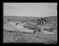 Men of Concho, Arizona, building a bridge across stream by Russell Lee