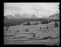 [Untitled photo, possibly related to: Results of deforestation during the early mining days. San Juan County, Colorado] by Russell Lee