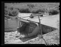 Diversion of water from main irrigation canal. Bernadillo County, New Mexico by Russell Lee