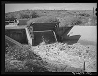 [Untitled photo, possibly related to: One of the main irrigation canals. Bernalillo, New Mexico] by Russell Lee