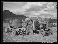 Extracting juice from cane. Ivins, Washington County, Utah. See general caption by Russell Lee