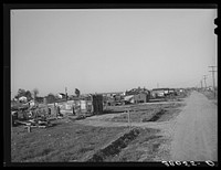 Part of Bull tract near Marysville, California. Houses set on half and one acre lot are sold to workers who build their houses on them. No payment on principal are made for the first four years; interest payments start at three percent and go up to six percent by one percent increase yearly.  At the end of four years payments on principal are due at rate of twenty to twenty-five percent annually.  Land sells from two nudred to five hundred dollars per acre.  Many migrants are settling in such tracts as these by Russell Lee