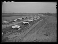 General view of houses for members of Mineral King cooperative farm. Visalia, California by Russell Lee