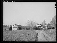 House and packing shed of fruit farmer. Placer County, California. This man owns thirty acres, is considered an average owner in this section by Russell Lee