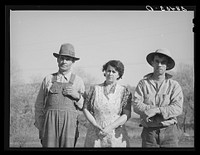 Fruit farmer, his wife and son. Placer County, California. He has owned his eighty acre farm for about thirty-four years. "It's pretty but what's it good for? The trees aren't worth the land they stand on," he says. Has Federal Land Bank loan which he will probably not be able to pay and expects to lose his farm soon by Russell Lee