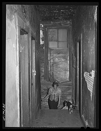 Hall of second floor of building rented as rooming house. Chicago, Illinois by Russell Lee