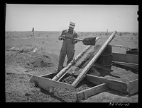 [Untitled photo, possibly related to: Mr. Browning and his team. He is a FSA (Farm Security Administration) rehabilitation borrower. Dead Ox Flat, Malheur County, Oregon] by Russell Lee