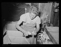 Mrs. Free, wife of FSA (Farm Security Administration) rehabilitation borrower, with baby chicks. Dead Ox Flat, Malheur County, Oregon by Russell Lee