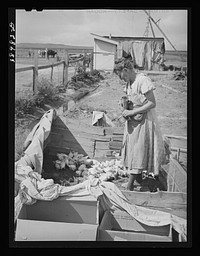 Mrs. Free with her chickens. She is wife of FSA (Farm Security Administration) rehabilitation borrower. Dead Ox Flat, Malheur County, Oregon by Russell Lee