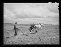 Ray Halstead, FSA (Farm Security Administration) rehabilitation borrower harrowing his irrigated field. Dead Ox Flat, Malheur County, Oregon by Russell Lee