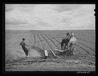 Ray Halstead making a turn while harrowing an irrigated field. He is a FSA (Farm Security Administration) rehabilitation borrower. Dead Ox Flat, Malheur County, Oregon by Russell Lee