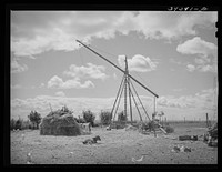 Farm scene. Vale-Owyhee irrigation project, Malheur County, Oregon. Rainfall is insufficient in this section for anything but irrigated farming by Russell Lee