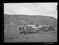 Automobiles and tents of sheep shearers on ranch in Malheur County, Oregon. These sheep shearing outfits travel in groups from ten to thirty or more throughout the sheep raising sections by Russell Lee