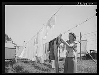 Hanging out the wash at the FSA (Farm Security Administration) migratory labor camp mobile unit. Wilder, Idaho by Russell Lee