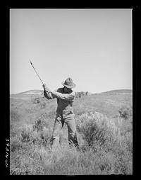 Newly-arrived farmer clearing land of sage brush. Vale-Owyhee irrigation project, Malheur County, Oregon. On the Vale-Owyhee project the average farmer has been able to clear and get into cultivation (small grain, alfalfa) forty-four acres in the first year on his farm by Russell Lee