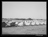Tents at FSA (Farm Security Administration) migratory labor camp mobile unit. Wilder, Idaho by Russell Lee