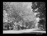 Street in the residential section of Caldwell, Idaho. In Caldwell is the College of Idaho, the oldest institution of higher learning in the state. Idaho State Guide (Federal Writers' Project) says, "But none of these give the mental and spiritual flavor of the town (Caldwell), which with its nineteen different churches and its somewhat monastic quietness, is quite unlike any other in the state" by Russell Lee