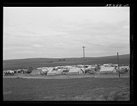 Pea pickers' camp, Canyon County, Idaho. These pickers travel with a labor contractor who secures jobs and provides the campgrounds by Russell Lee