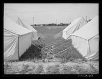 Tents in the mobile unit of the FSA (Farm Security Administration) labor camp. Nampa, Idaho by Russell Lee