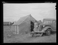 [Untitled photo, possibly related to: Tents and trailers in pea pickers' (labor contractor) camp. Canyon County, Idaho] by Russell Lee