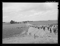 Pea pickers going into the fields. This is the group which travels with a labor contractor. Canyon County, Idaho by Russell Lee