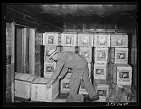 Crates of lettuce for shipment. Canyon County, Idaho by Russell Lee