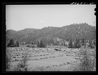[Untitled photo, possibly related to: Haying. Garden Valley, Boise County, Idaho] by Russell Lee