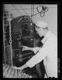 Recording weight, etc. of samples of cream and milk at Dairymen's Cooperative Creamery. Caldwell, Canyon County, Idaho by Russell Lee