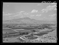 Cherry orchards at Emmett, Gem County, Idaho. Notice the wide irrigation ditches. Water for irrigation is supplied by the Black Canyon Reservoir by Russell Lee