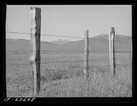 Fence on Cruzen Ranch. Valley County, Idaho by Russell Lee