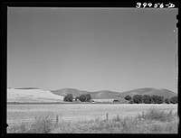 Farmstead and wheatland. Whitman County, Washington by Russell Lee