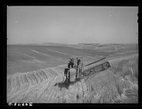 Combine in the wheat. Whitman County, Washington. About ninety percent of the land in this county is under cultivation. Wheat and livestock are principal crops by Russell Lee